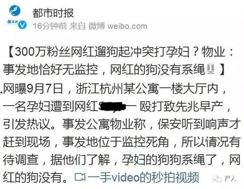 吃瓜30万网红,揭秘网络红人的崛起之路